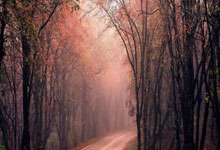 世界杯竞彩竞猜网站 -恒(héng)誉环保：說(shuō)明尾矿项目情(qíng)況(kuàng)及未來(lái)研(yán)发計(jì)划