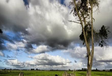 世界杯竞猜怎么玩 -完美医疗(01830)：建议終(zhōng)止(zhǐ)现有購(gòu)股權(quán)計(jì)劃(huà)及采纳2026年(nián)購(gòu)股權(quán)計(jì)劃(huà)