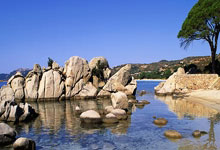 世界杯竞彩竞猜网站 -食品安全抽檢(jiǎn)“藍(lán)军”行動(dòng)啓(qǐ)動(dòng)